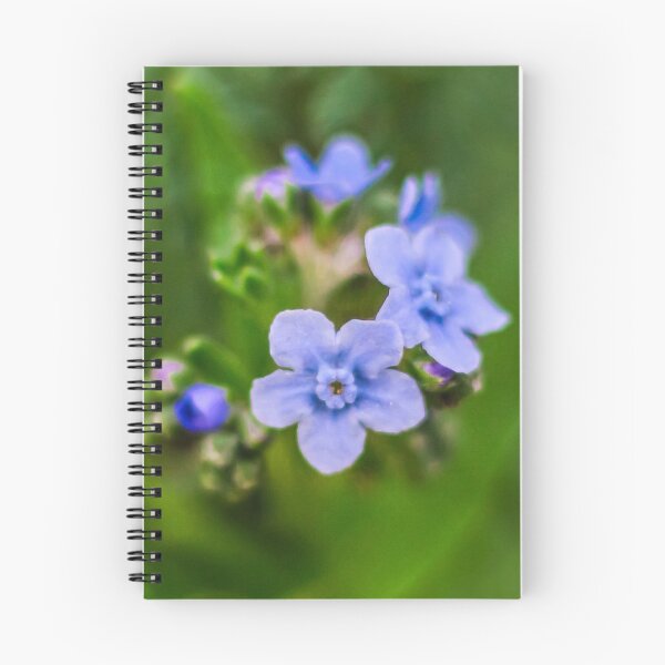 Item preview, Forget Me Not Flowers 1x1 designed and sold by PhotoArtbyGrace.