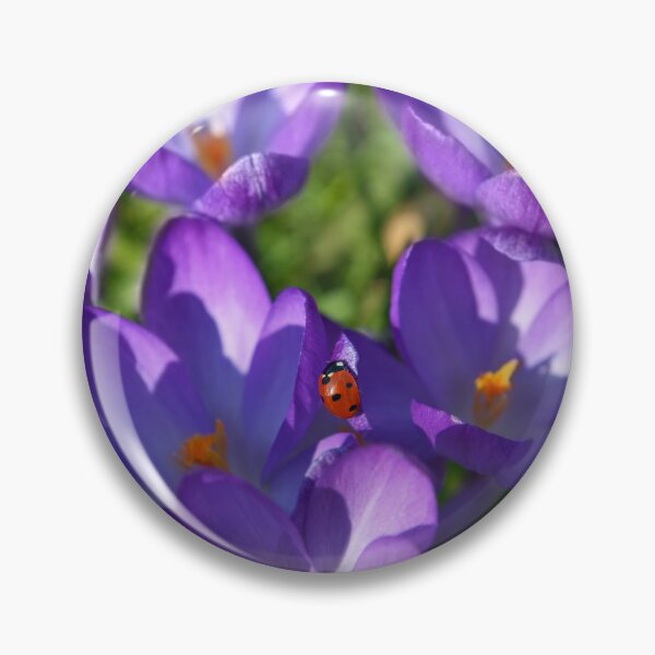 Item preview, Beautiful crocuses and a lady bug designed and sold by AsahiNoAme.