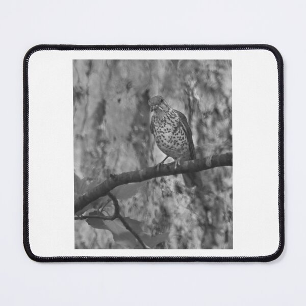 Item preview, Spotted Thrush Perched On Branch designed and sold by milesmorarst.