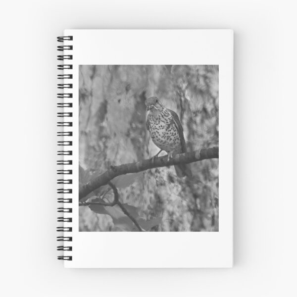Item preview, Spotted Thrush Perched On Branch designed and sold by milesmorarst.