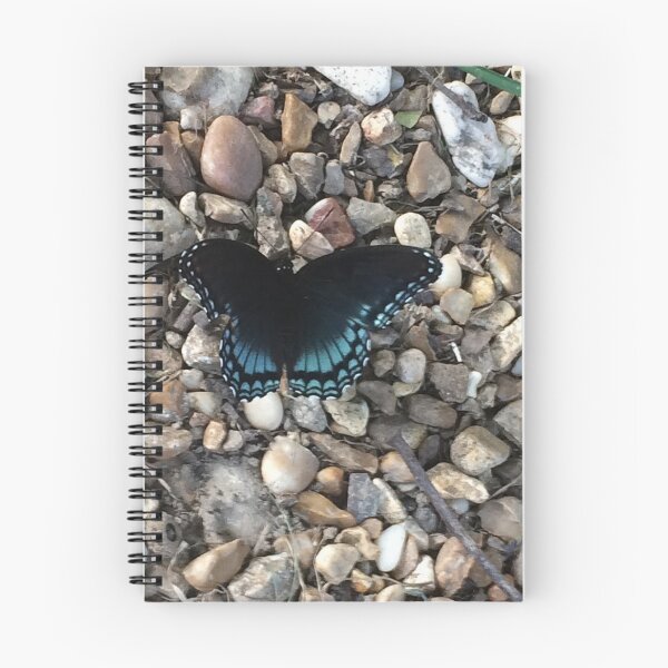 Item preview, Blue Butterfly, REAL photograph designed and sold by GiSilver.