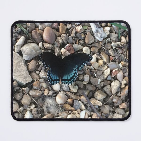 Item preview, Blue Butterfly, REAL photograph designed and sold by GiSilver.