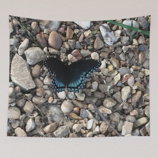 Item preview, Blue Butterfly, REAL photograph designed and sold by GiSilver.