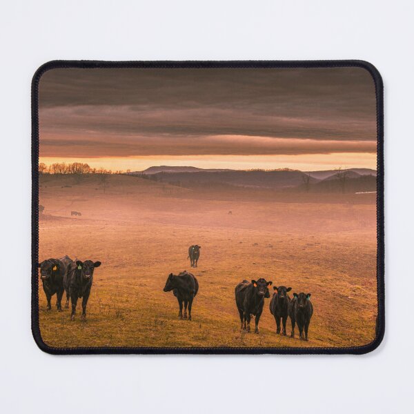 Item preview, Low Ceiling designed and sold by Jim Love.