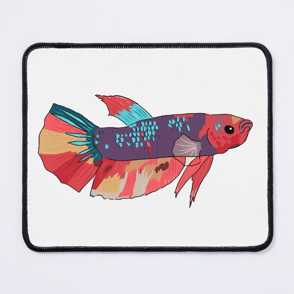 Item preview, Betta Fish - Titan  designed and sold by stillaquatics.