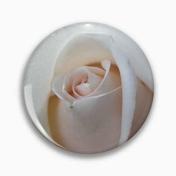 Item preview, Vivid Vanilla White Pink Rose Rosa Bloom Catching Sun Outside designed and sold by vtspatial.