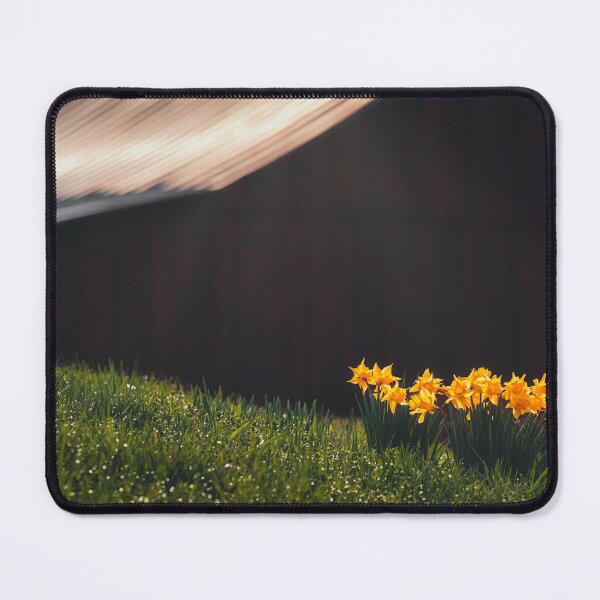 Item preview, Barnyard Daffodils designed and sold by Jim Love.