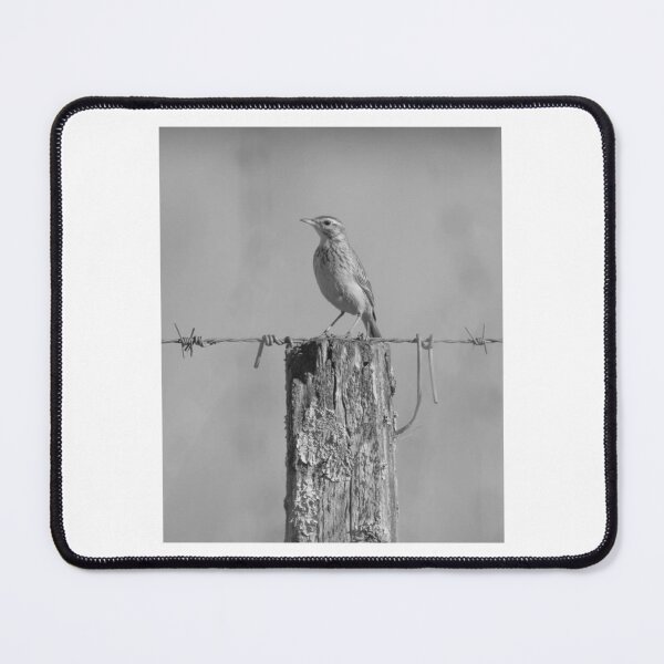 Item preview, Solitary Bird Perched on Weathered Fence Post designed and sold by paintartskcw.