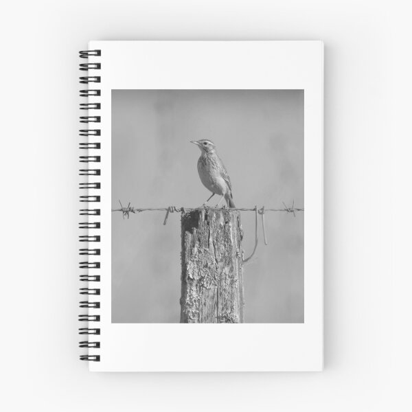 Item preview, Solitary Bird Perched on Weathered Fence Post designed and sold by paintartskcw.