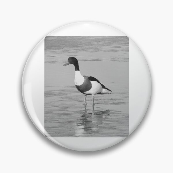 Item preview, Shelduck Standing Alone in Shallow Water designed and sold by paintartskcw.
