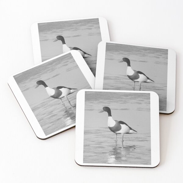 Item preview, Shelduck Standing Alone in Shallow Water designed and sold by paintartskcw.