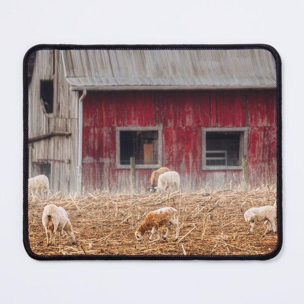 Item preview, Cornfield Scavenging designed and sold by Jim Love.