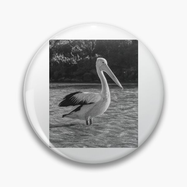 Item preview, Pelican Standing Proud In Rippling Water designed and sold by paintartskcw.
