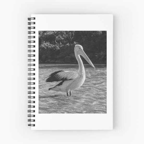 Item preview, Pelican Standing Proud In Rippling Water designed and sold by paintartskcw.