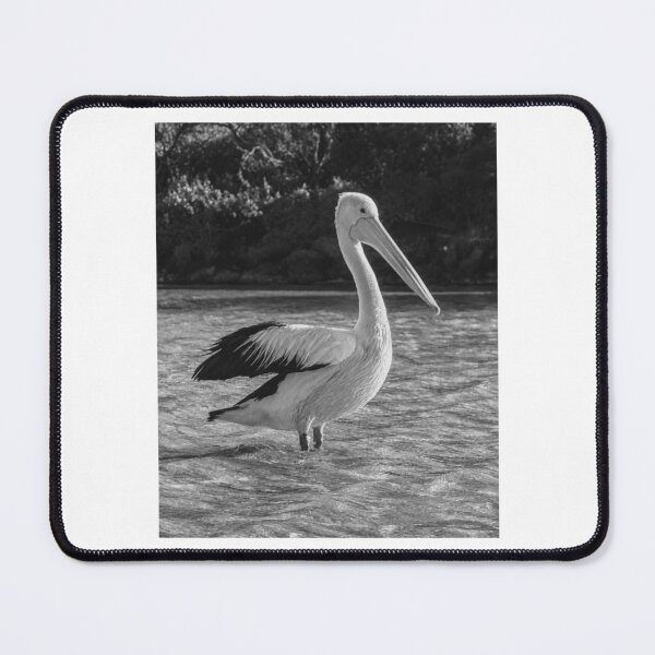 Item preview, Pelican Standing Proud In Rippling Water designed and sold by paintartskcw.