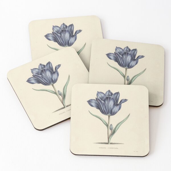 Item preview, Vintage Blue Tulipa Coerulea Botanical Illustration designed and sold by NuvoraNest.