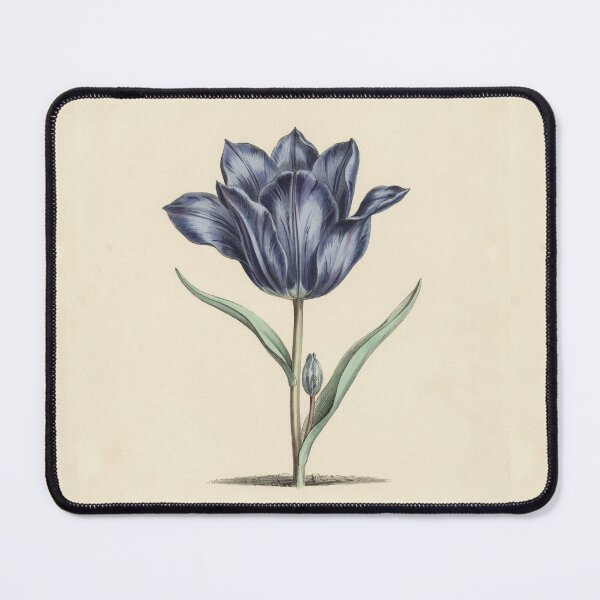 Item preview, Vintage Blue Tulipa Coerulea Botanical Illustration designed and sold by NuvoraNest.