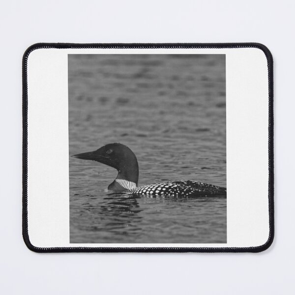 Item preview, Common Loon Gliding Silently Across Still Water designed and sold by paintartskcw.