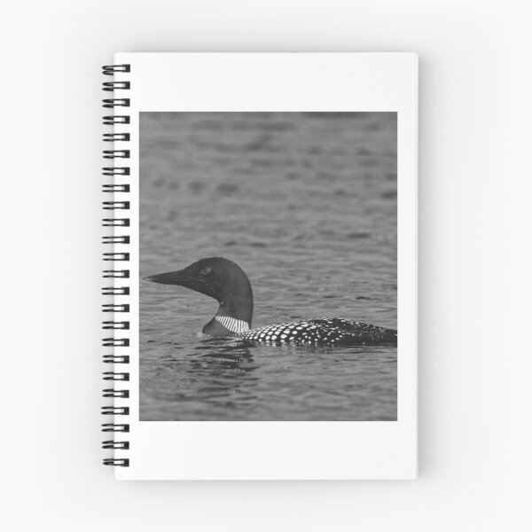 Item preview, Common Loon Gliding Silently Across Still Water designed and sold by paintartskcw.