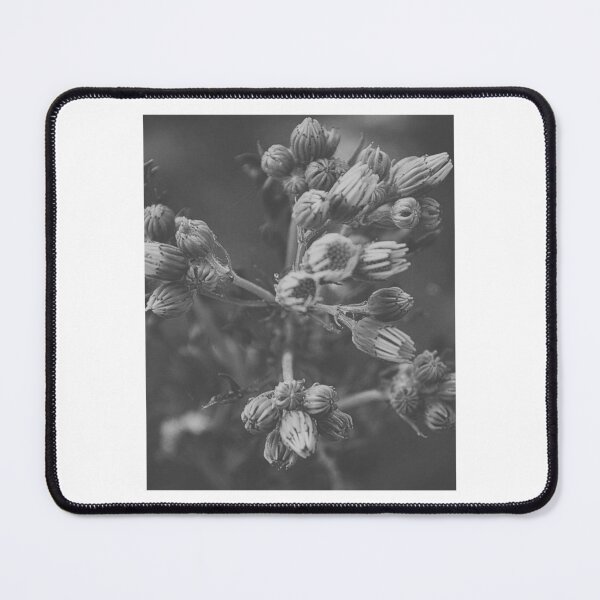 Item preview, Wildflower Buds Clustered On Delicate Branching Stems designed and sold by paintartskcw.