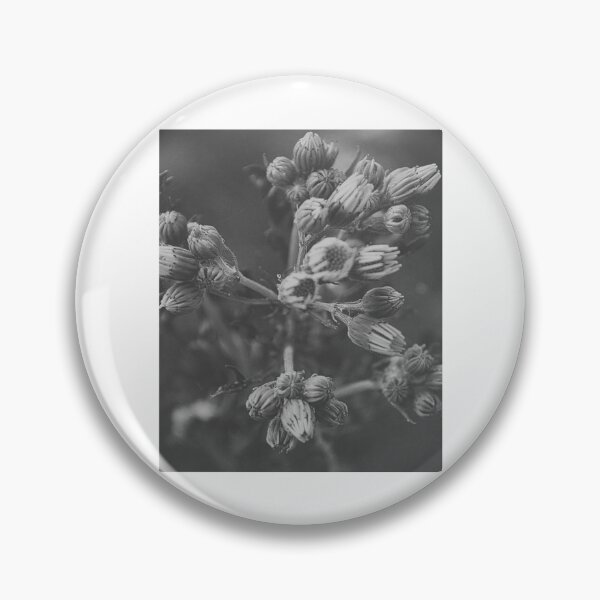 Item preview, Wildflower Buds Clustered On Delicate Branching Stems designed and sold by paintartskcw.