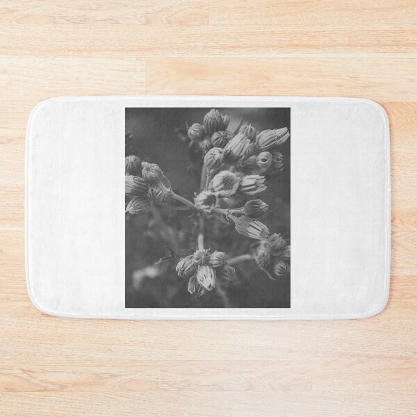 Item preview, Wildflower Buds Clustered On Delicate Branching Stems designed and sold by paintartskcw.