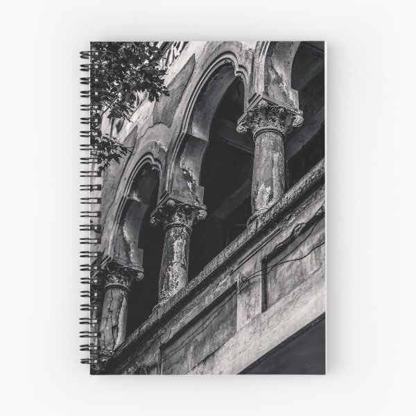 Item preview, Crumbling Historic Columns — Black and White Urban Decay designed and sold by Rabee Khalil Photography.