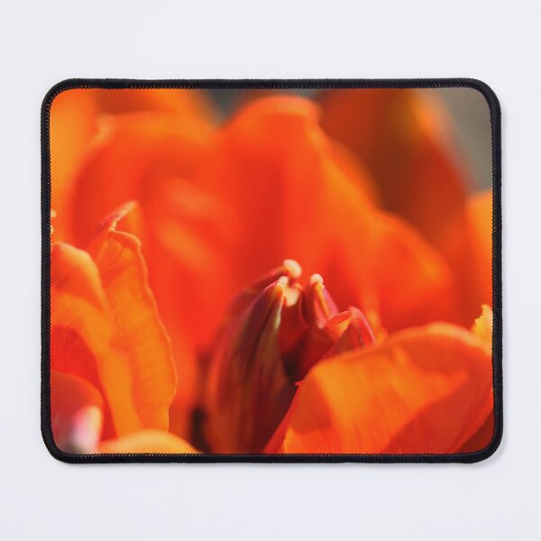 Item preview, abstract Blurred Floral Background Out of Focus, design element or seasonal abstract foundation designed and sold by TatinkaArtskill.