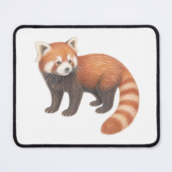 Item preview, Red Panda Drawing designed and sold by JOANNASKAH.