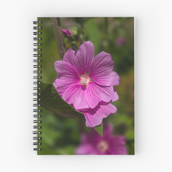 Item preview, Vibrant Pink Mallow Flower designed and sold by Sir Martin.