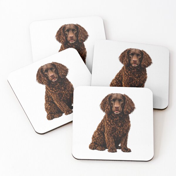 Item preview, Boykin spaniel dog designed and sold by BackgroundND.