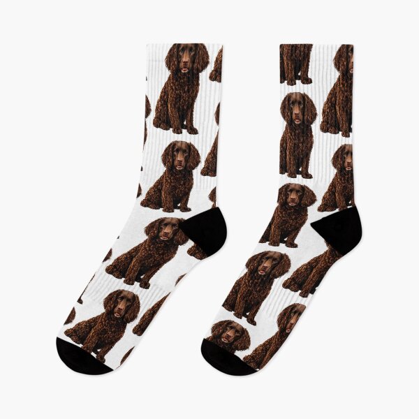 Item preview, Boykin spaniel dog designed and sold by BackgroundND.