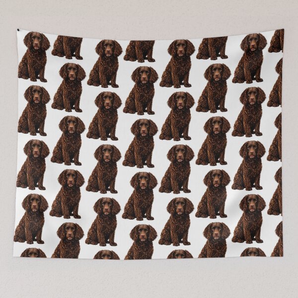 Item preview, Boykin spaniel dog designed and sold by BackgroundND.