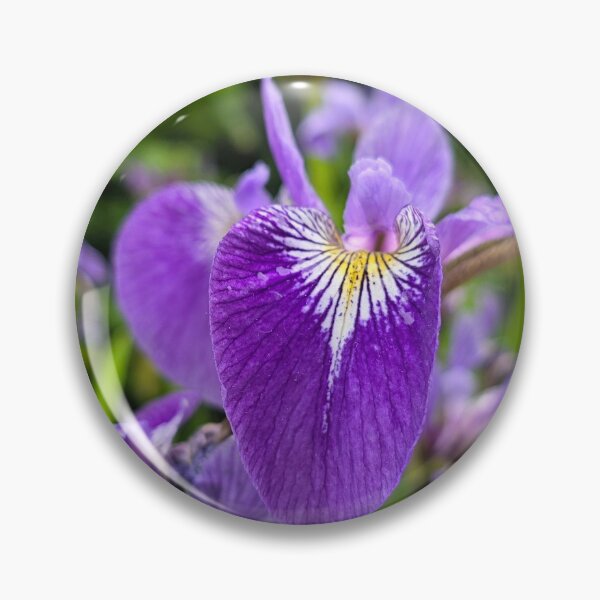 Item preview, Vibrant Purple Iris Flower in the Garden ?? designed and sold by Sir Martin.