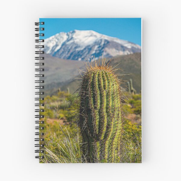 Item preview, Cardón Las Pailas Cachi Salta – Cactus Andes Nieve Argentina Foto Vertical Valles Calchaquíes designed and sold by Keltoi-art.