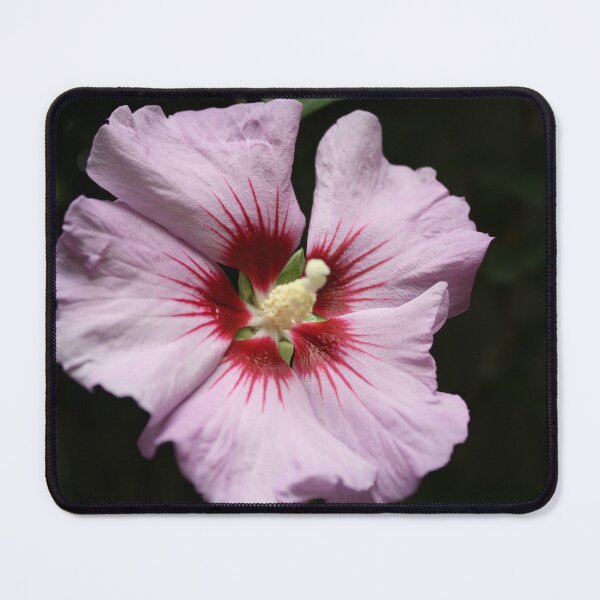 Item preview, Hibiscus flower  designed and sold by McFleur's Lens.