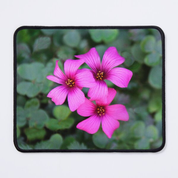 Item preview, Beauty by Nature designed and sold by heatherfriedman.