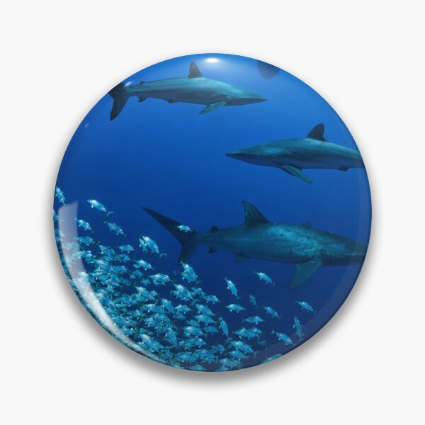 Item preview, Sharks of the ocean designed and sold by New Media Arts.