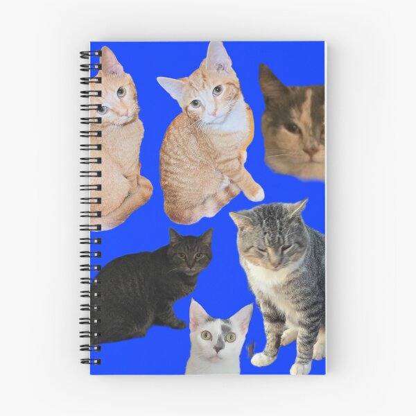 Item preview, Cat & Kitten College  designed and sold by Cat Haven & Rescue .