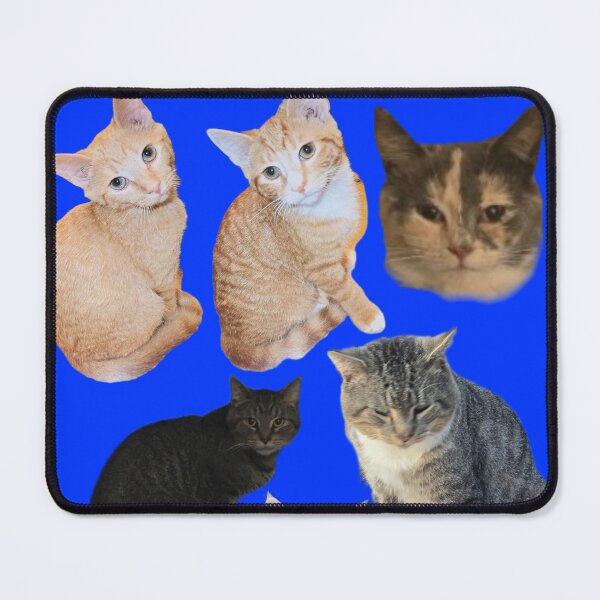 Item preview, Cat & Kitten College  designed and sold by Cat Haven & Rescue .