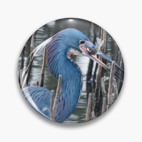 Item preview, Tricolored Heron with Fresh Catch designed and sold by Debra Martz.