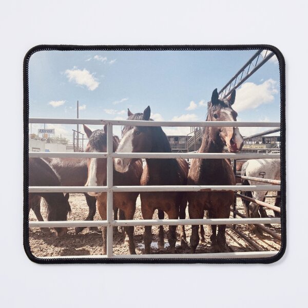 Item preview, Wild Horse Race designed and sold by BK Photography & Design.