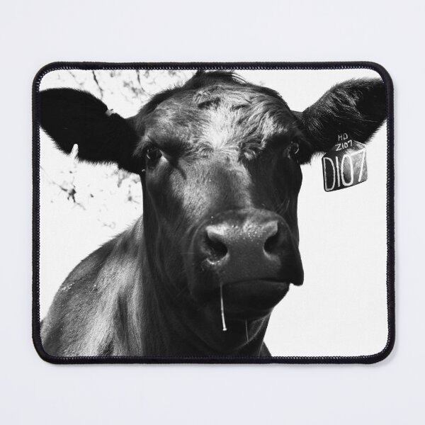 Item preview, Black Angus  designed and sold by BK Photography & Design.
