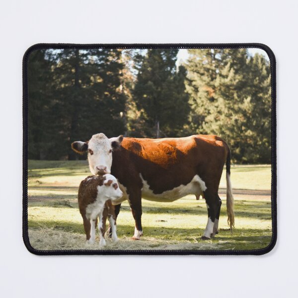 Item preview, On the Range designed and sold by BK Photography & Design.