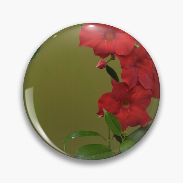 Item preview, Crimson Mandevilla Flowers on Green Background designed and sold by TsvietkovaArt.
