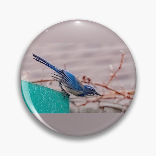 Item preview, Scrub Jay  designed and sold by CarolM.