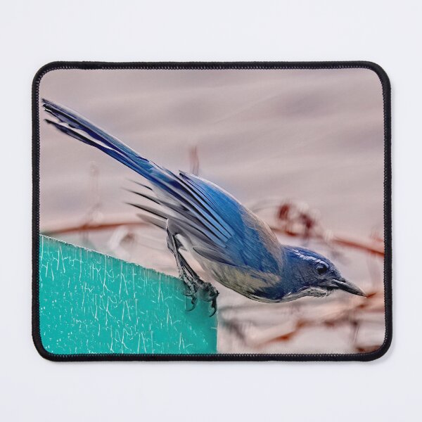 Item preview, Scrub Jay  designed and sold by CarolM.