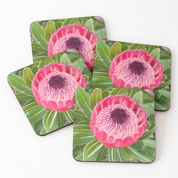 Item preview, Pink Protea designed and sold by Cate-Green.