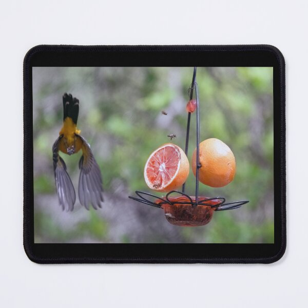 Item preview, Flying Oriole and Bees at the Feeder designed and sold by CarolM.