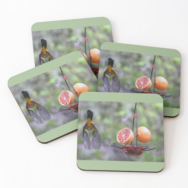 Item preview, Flying Oriole and Bees at the Feeder designed and sold by CarolM.